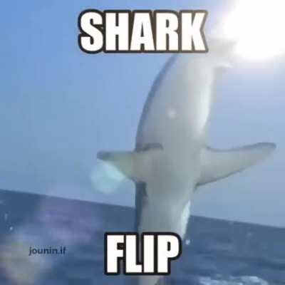Woooh!!!!!