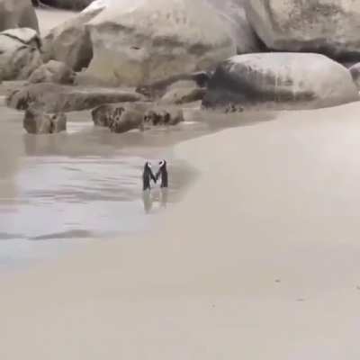 Vacationing Couple, Oh Alex, it's Just the way I dreamed it would be