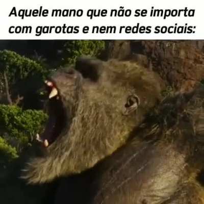 XD