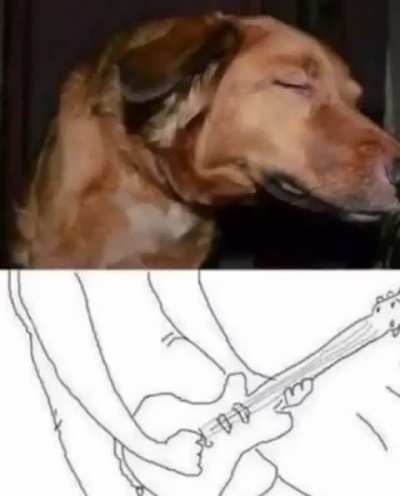 eu_nvr