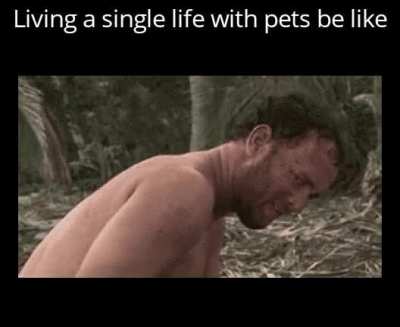me_irl