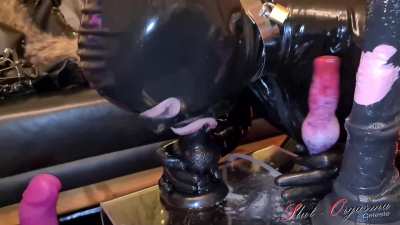 Slut-Orgasma Celeste the deep throat challenge canine vs horse cock (slut<wbr>-orga<wbr>sma.c<wbr>om)