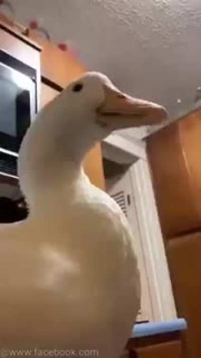 Aaaaaaa~