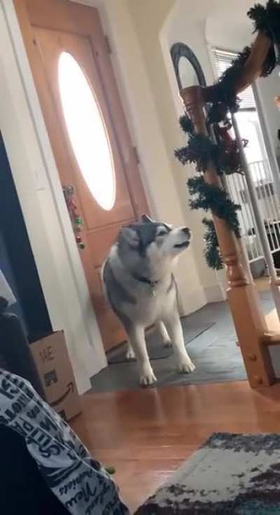 woof
