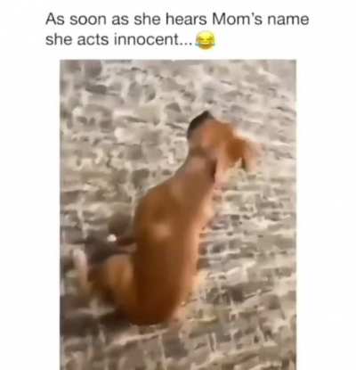 One “nip” away from being handicap her entire life…