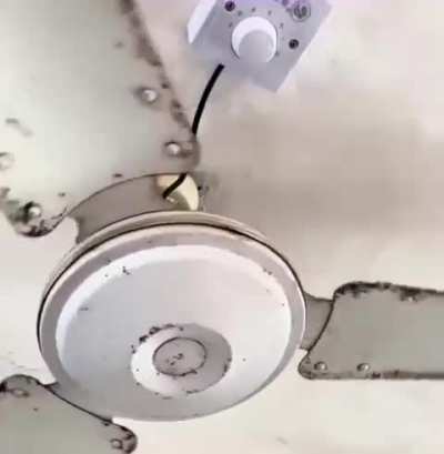 Quem foi o gênio?
