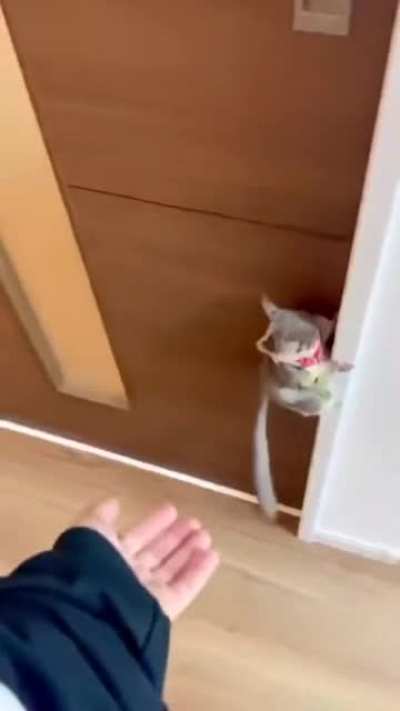 Maybe Maybe Maybe