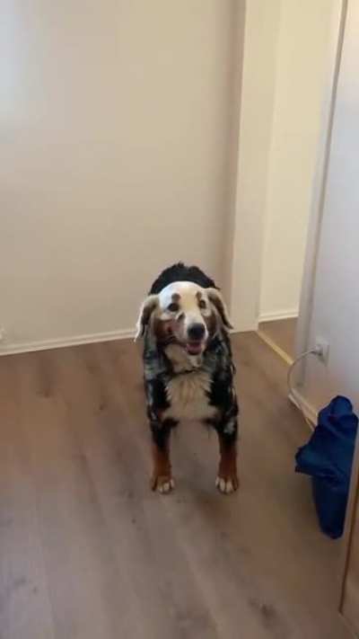 A round of applause for a very good girl