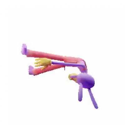 Jax Spin!