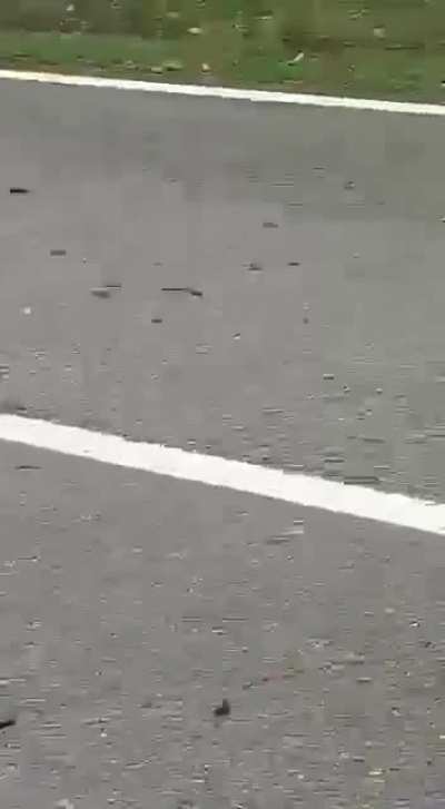Aftermath of head-on collision between a van and a truck. Van driver dead. Warning: graphic