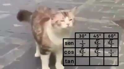 Aprendiendo matemáticas con Carola