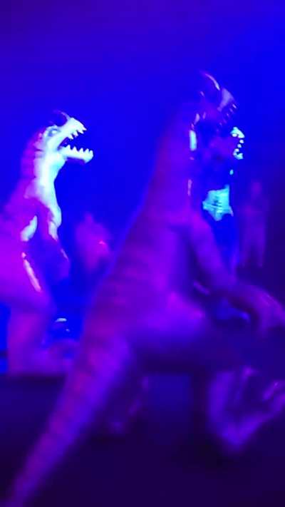Furryð¦irl