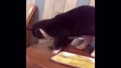 what is that awful stench?