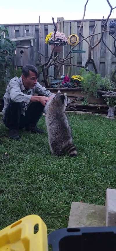 KungFu TrashPanda in training