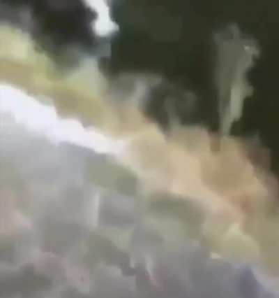 Gatorhell
