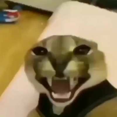 ñoñoño