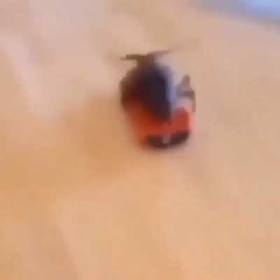 Bv