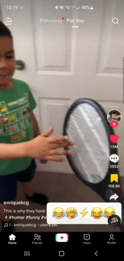 Fly Swatter
