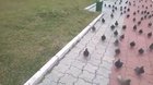 How to get an army