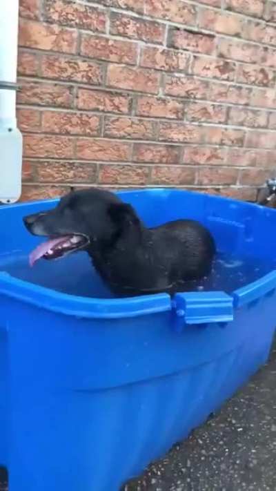 I Love Bathing!