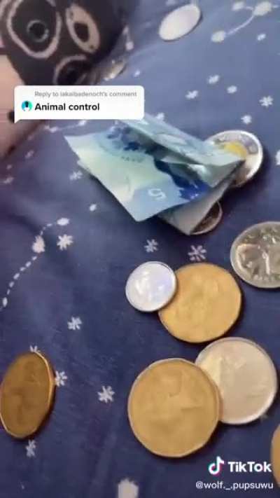 Brat on tiktok