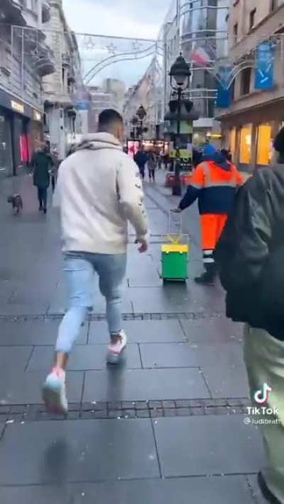 Totalni degenerik