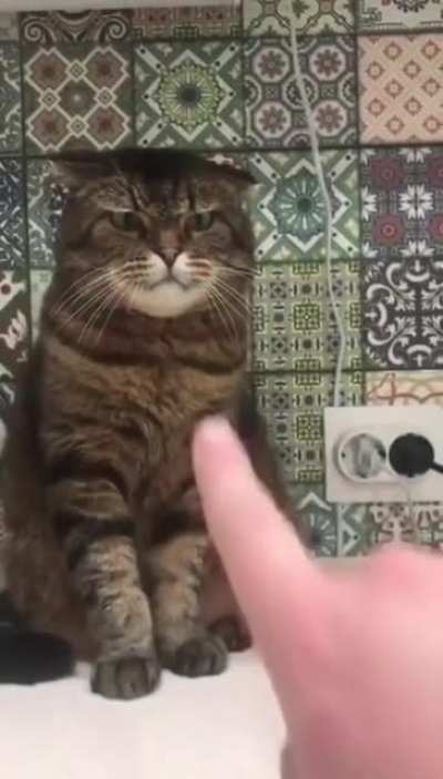 Don't touch my face