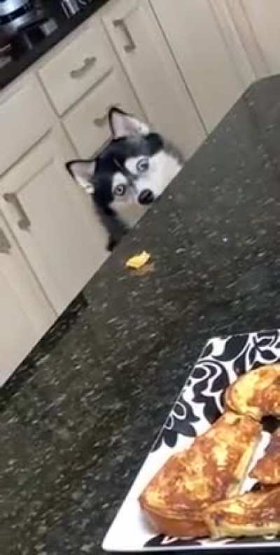 Шарик
