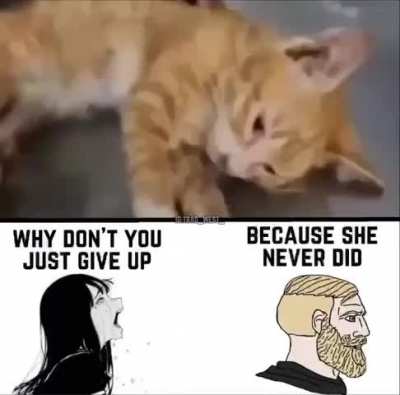 She never gave up