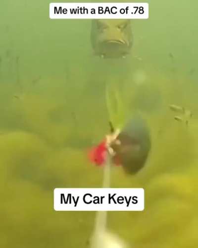 Where are they?