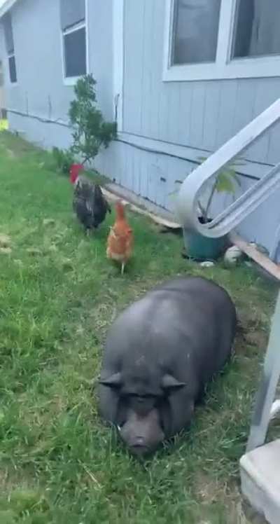 Karma I guess