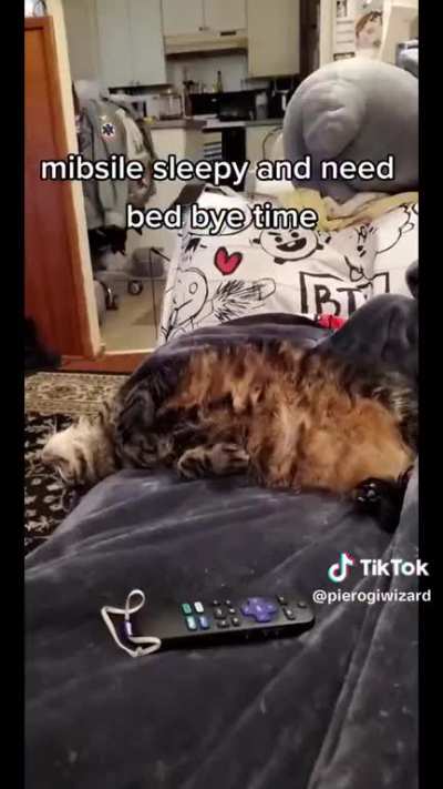 good night rule