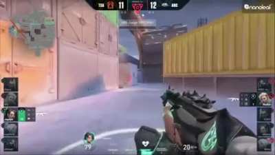 Even the casters were 