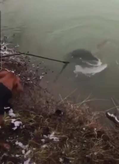 Gone fishing.