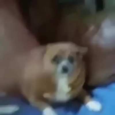 Posting SFW videos I found in NSFW Discord channels Day 95
