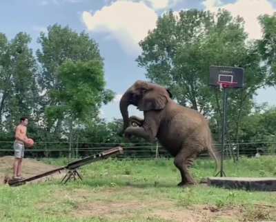 Rene Casselly / Elephantboy performing one of his stunts