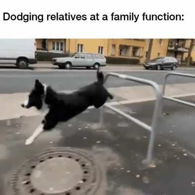 I am somewhat of a gymnast myself