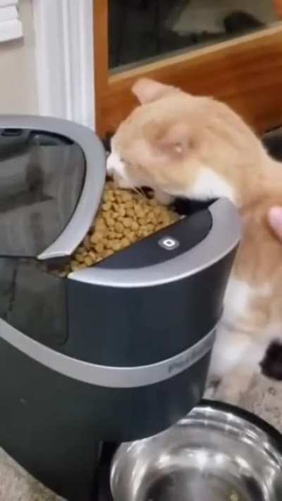 Nooooo !!!