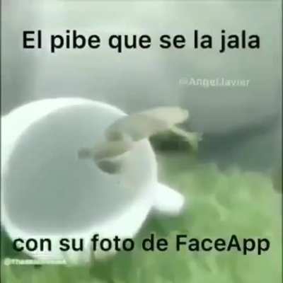 Ascendido