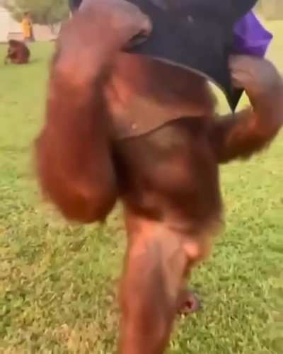 Average_bruhfunnier