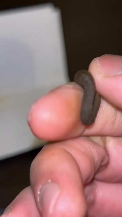 Some top real afghan hash very potent
