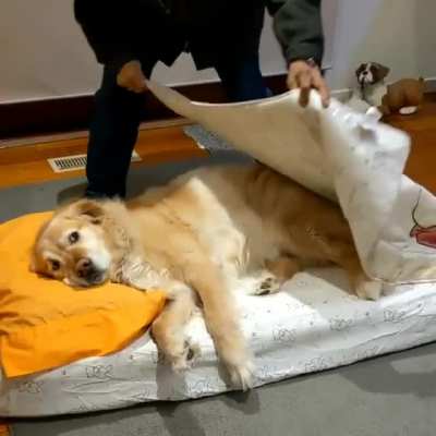 Awwww