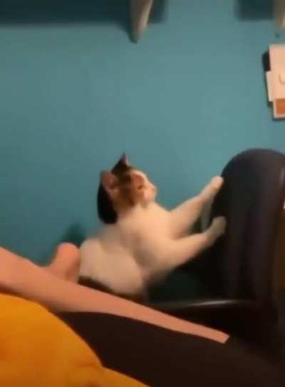I think he doesn’t like the song