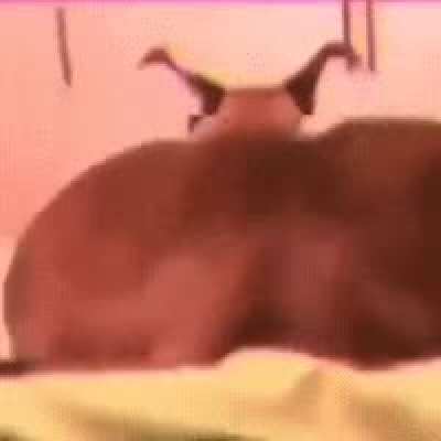 holy fuck