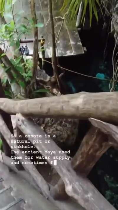 Old vacay vid