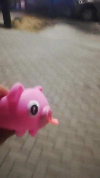 Someone legit stole it