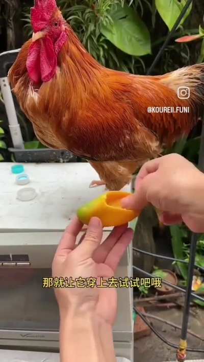 God damn this wunkus ffresh