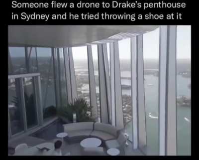 Drake the type