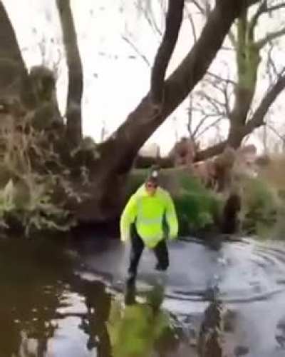 Pig in a pond