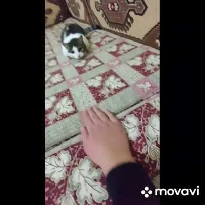 My scream
